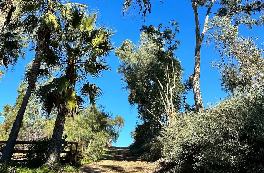 18096 Loma Alegre #15033, Rancho Santa Fe, CA 92067 - #3