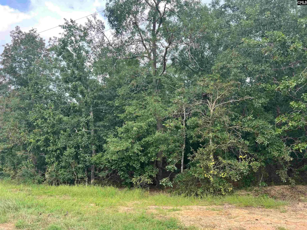 0 Cliff Road, Pelion, SC 29123 - #1