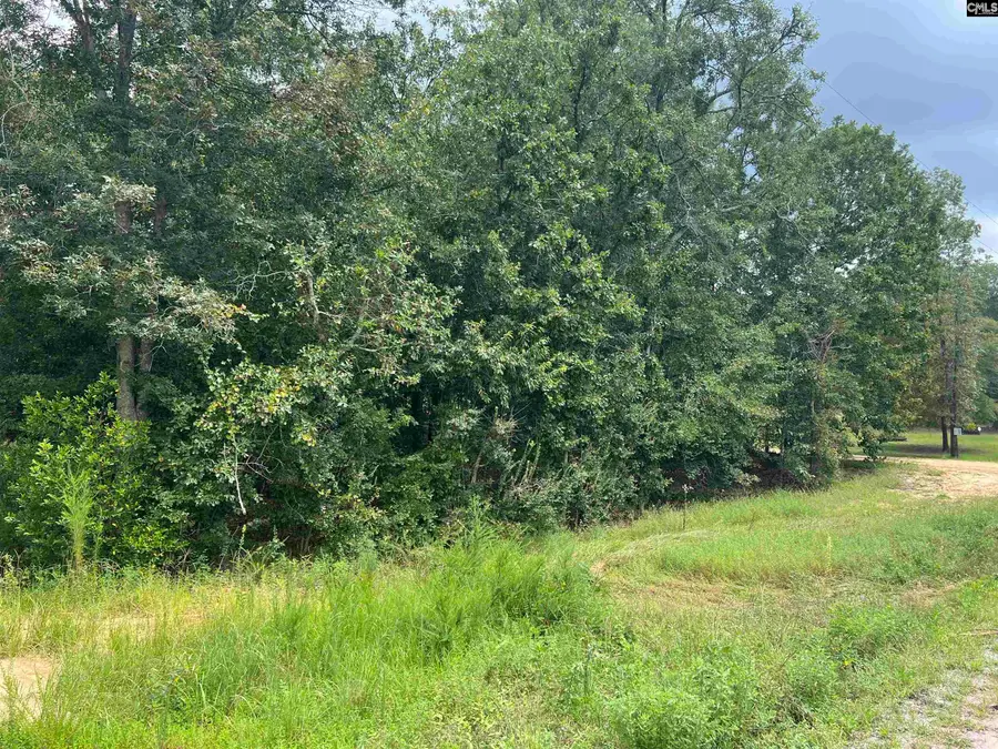 0 Cliff Road, Pelion, SC 29123 - #3