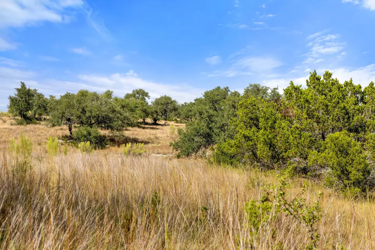 136 Legacy Hills Dr, Johnson City, TX 78636 - #1