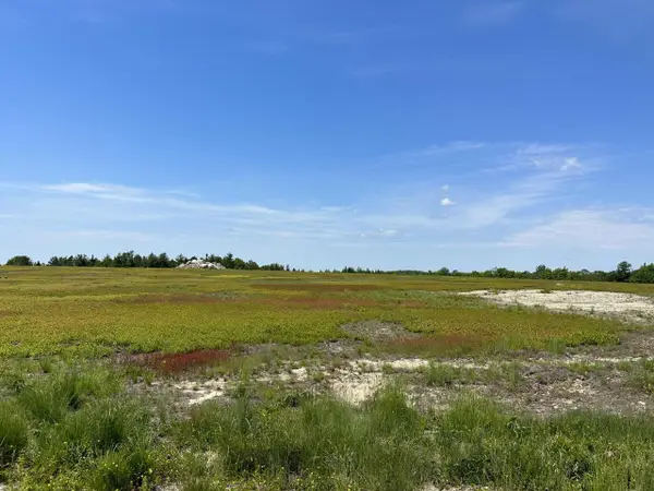 MAP13LOT11 Martins Ridge Road, Franklin, ME 04634