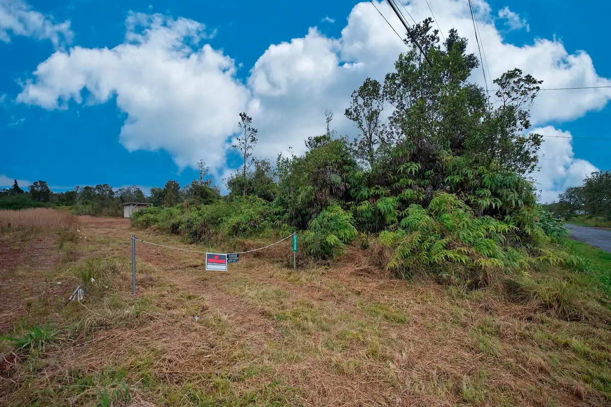 11-3124 Pa Alii St, Volcano, HI 96785 - #1