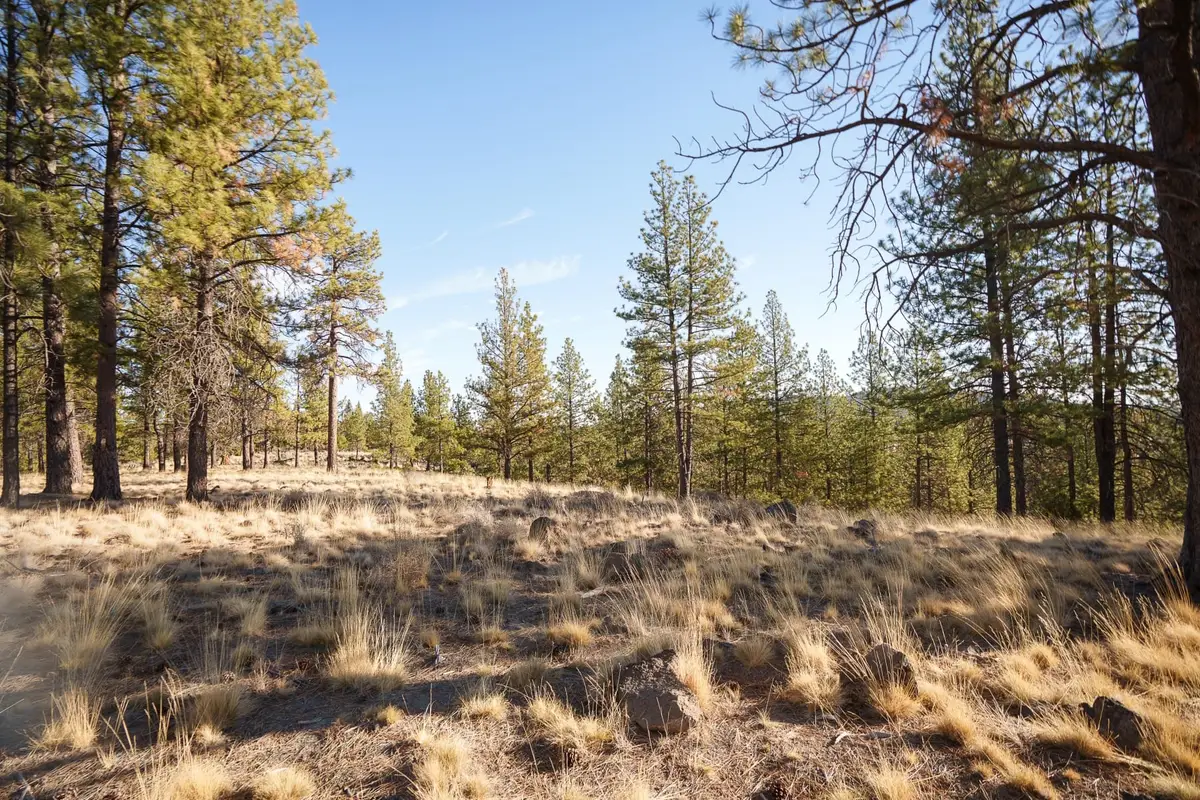 19151 Horizon View Drive, Bend, OR 97703 - #1