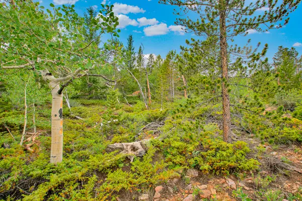 751 Lamb Mountain Road, Fairplay, CO 80440