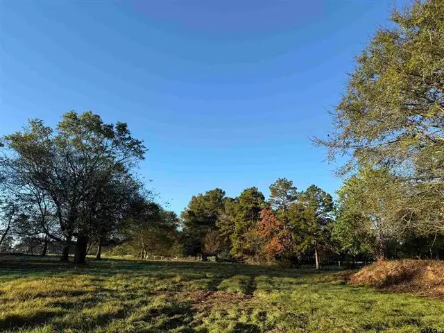 TBD CR 4194 Tr-9, Henderson, TX 75654 - Image #2