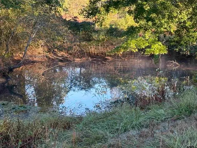 TBD CR 4194 Tr-9, Henderson, TX 75654 - Image #3