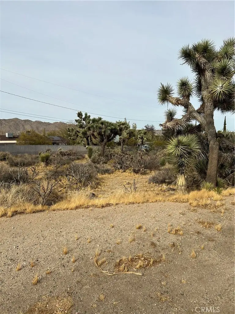 0 Piute Trail, Yucca Valley, CA 92374 - Image #2