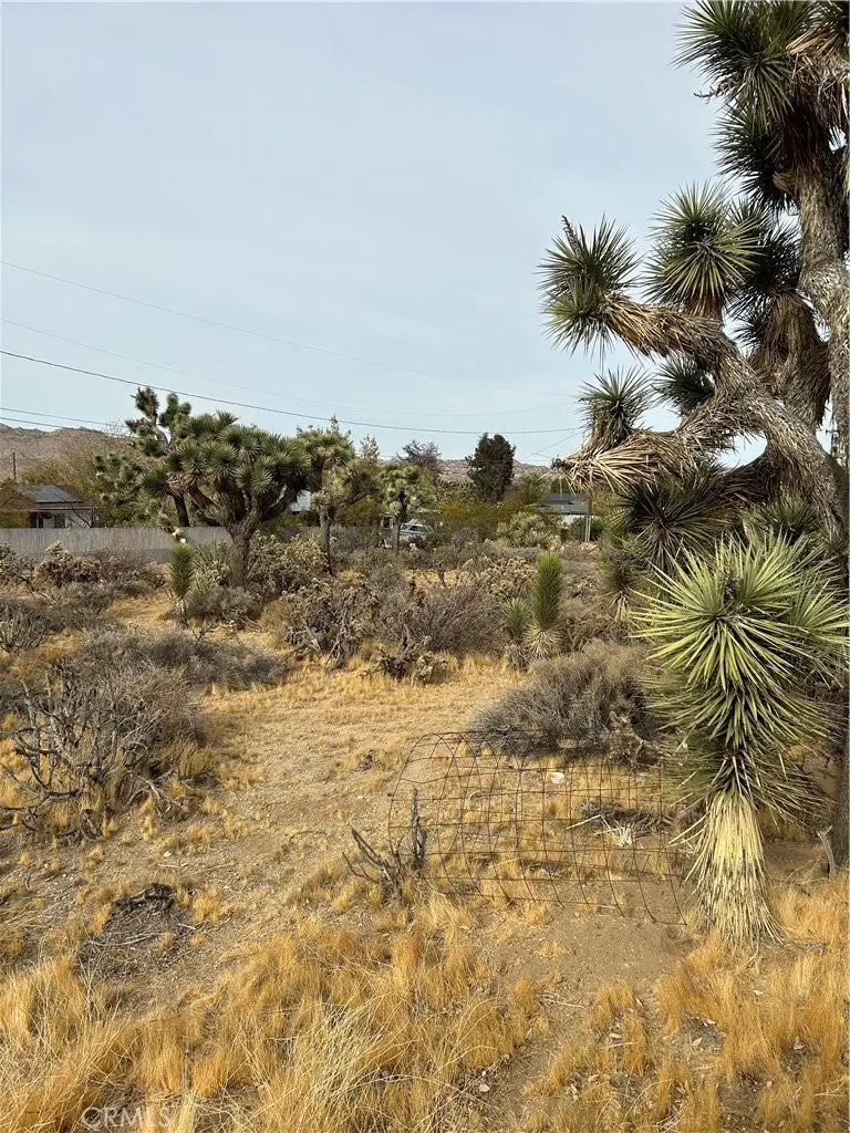0 Piute Trail, Yucca Valley, CA 92374 - Image #3