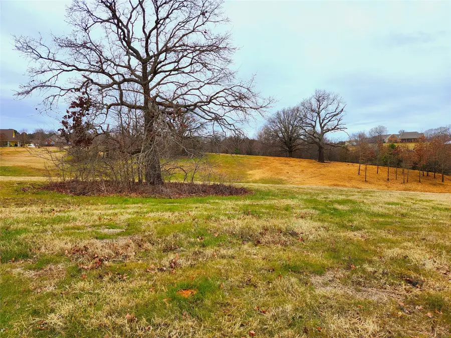 Lot 125 Clear View Court, Athens, TX 75752 - #2