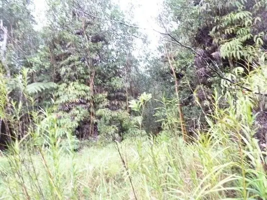 18-2300 Glenwood Rd, Mountain View, HI 96771 - #2