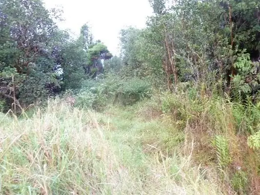 18-2300 Glenwood Rd, Mountain View, HI 96771 - #3