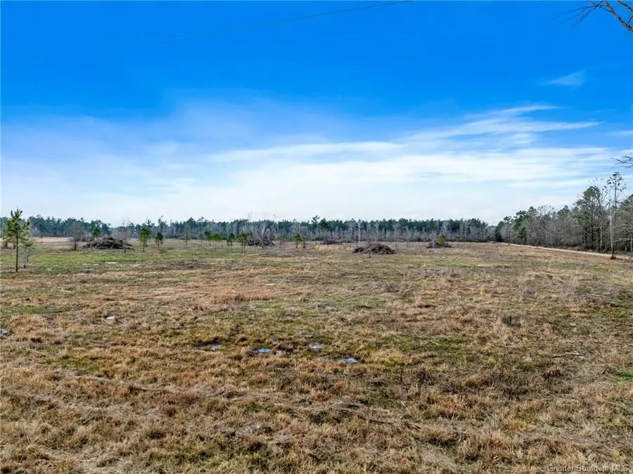 Conway Rosteet Rd, Longville, LA 70652 - Image #2