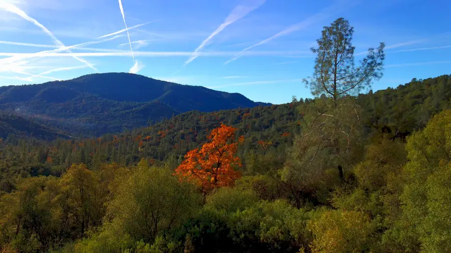 20 Harris Cutoff Road, Mariposa, CA 95338 - Image #2