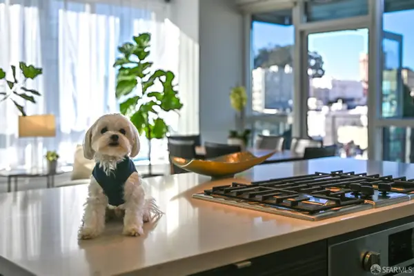 1688 Pine Street #E1211, San Francisco, CA 94109