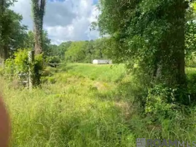 19692 Pride-baywood Rd, Pride, LA 70770 - #1