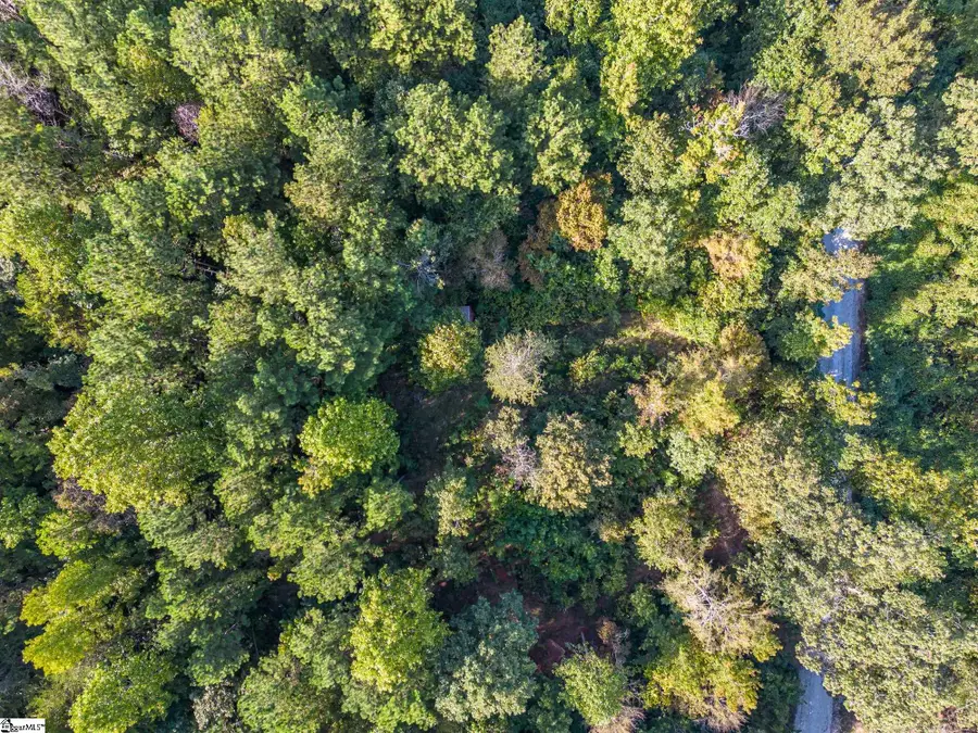 000B Riverbend Road #Lot 66, Fair Play, SC 29643 - #3