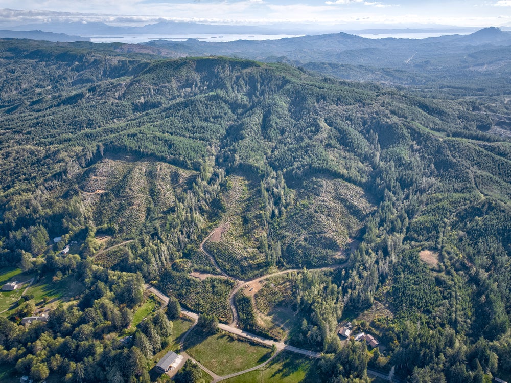 0 South Valley Rd, Naselle, WA 98638 BHGRE