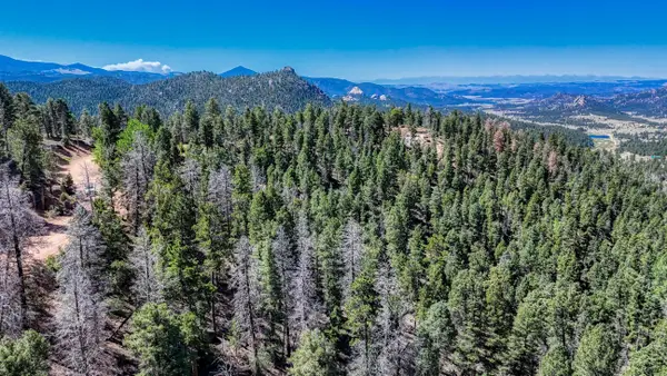3454 N Mountain Estates Road, Florissant, CO 80816