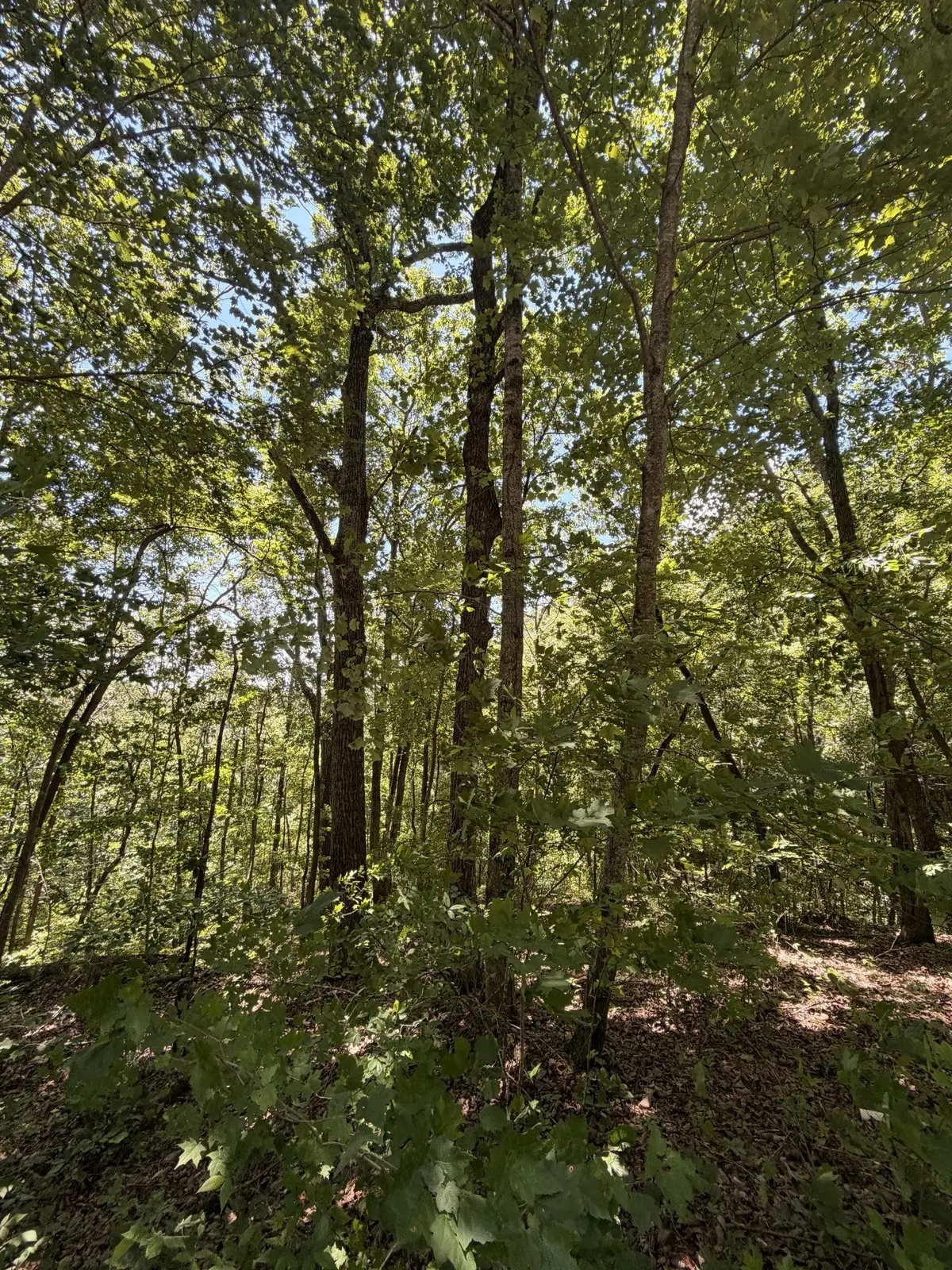 0 Woodcrest Dr, Smithville, TN 37166 - #1