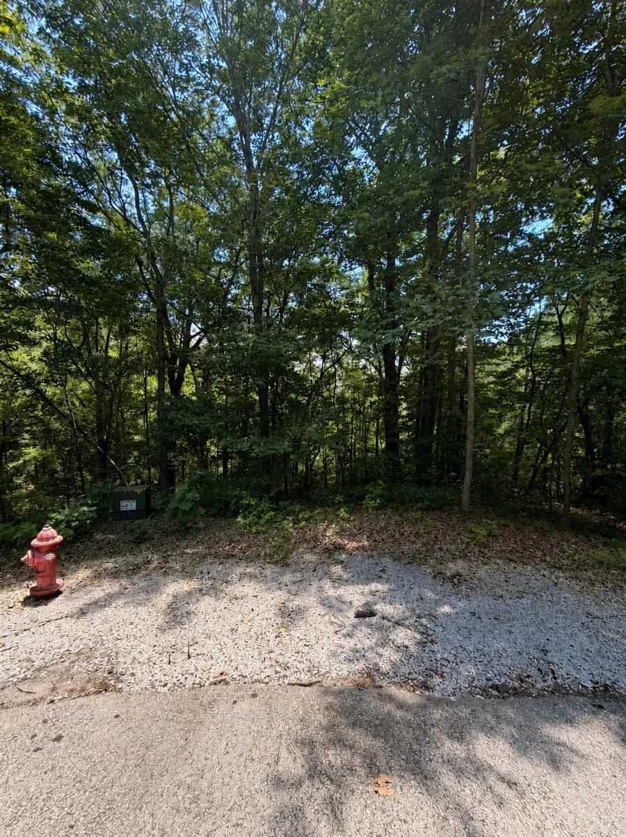 0 Woodcrest Dr, Smithville, TN 37166 - #2