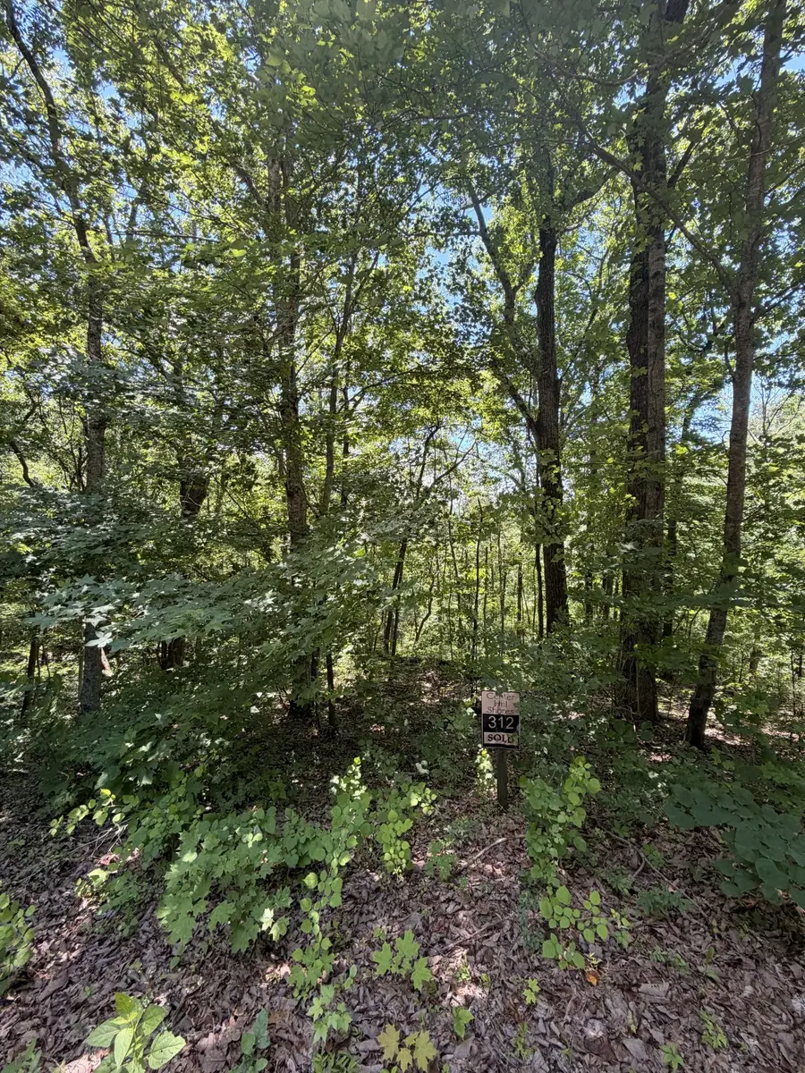 0 Woodcrest Dr, Smithville, TN 37166 - #3
