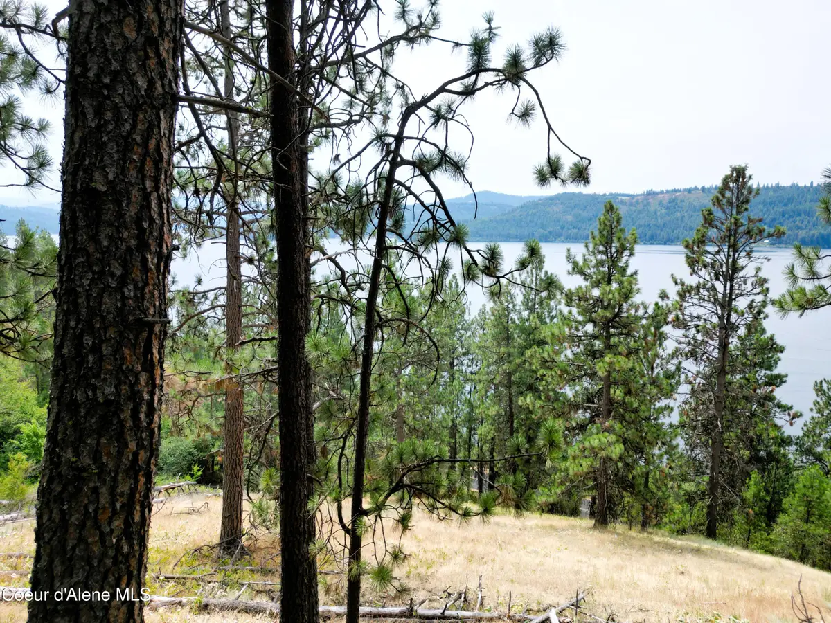 NNA LACON LN, Harrison, ID 83833 - #1