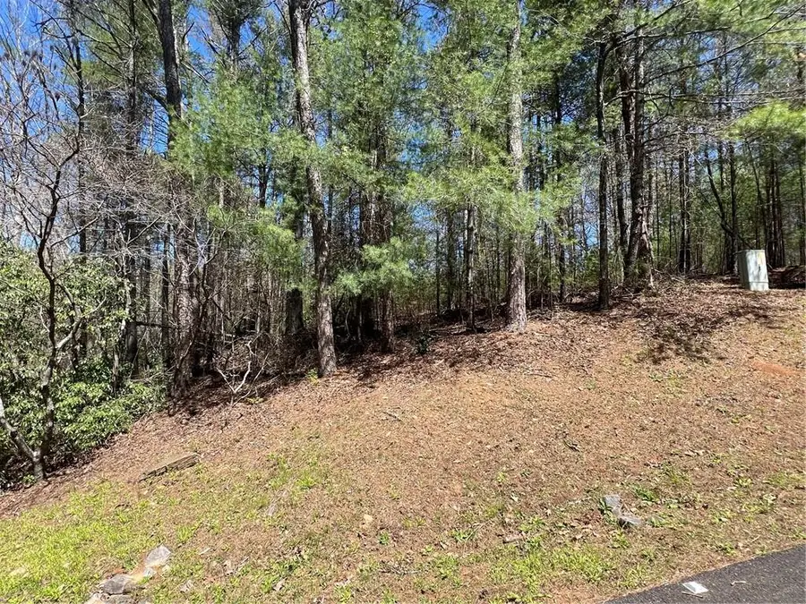 0 Trout Line Court, Talking Rock, GA 30175 - Image #3