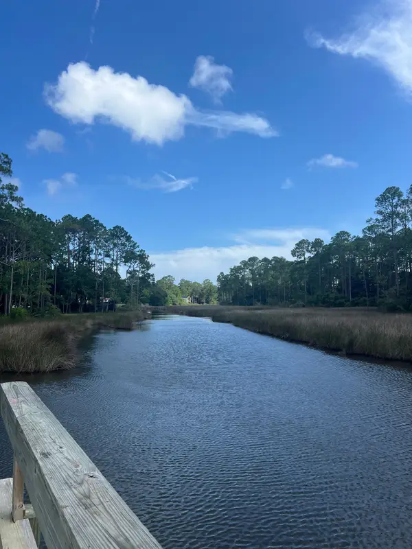 1185 N Co Highway 393, Santa Rosa Beach, FL 32459