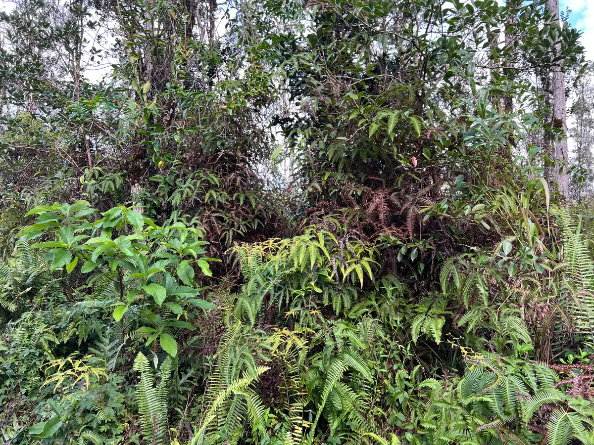 Seaview Rd, Pahoa, HI 96778 - #1