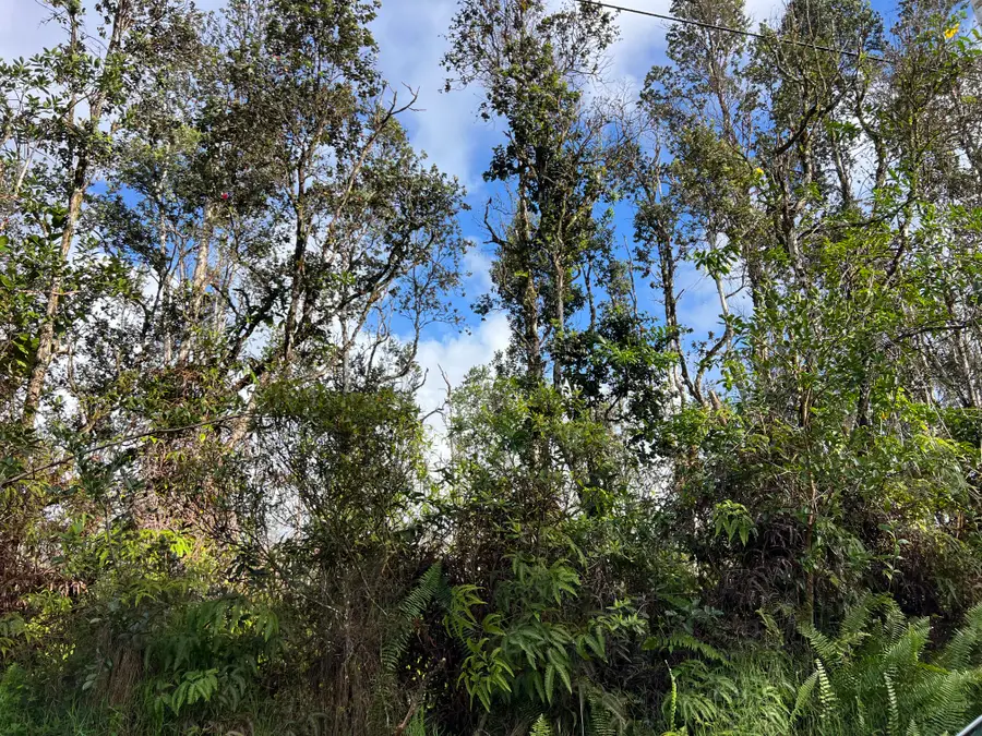 Seaview Rd, Pahoa, HI 96778 - #2