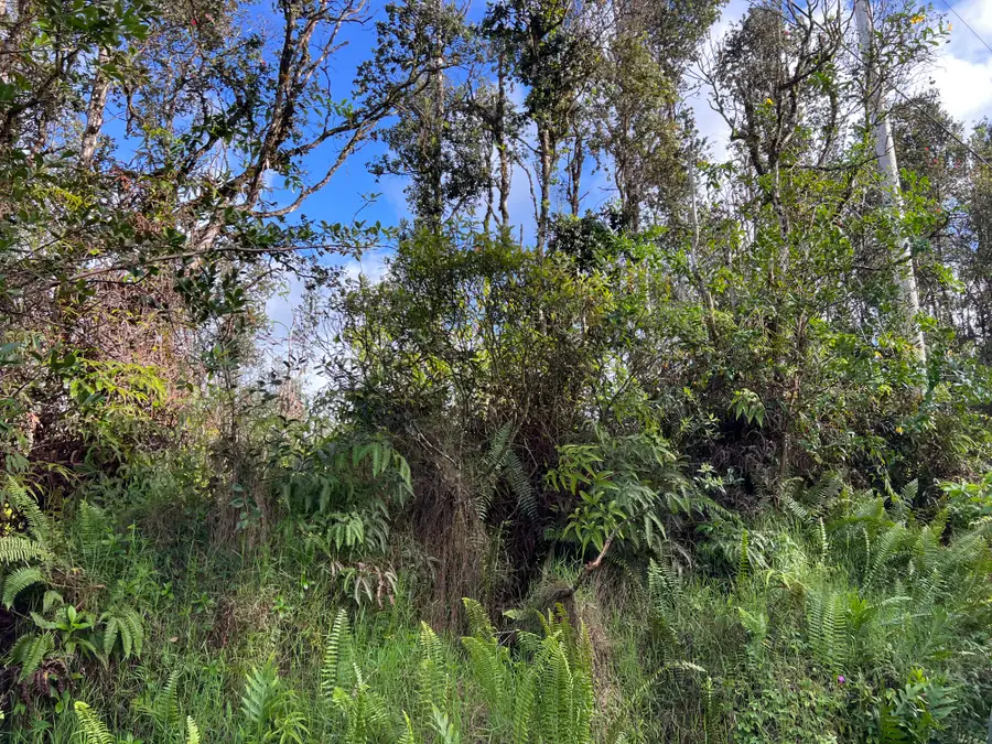 Seaview Rd, Pahoa, HI 96778 - #3