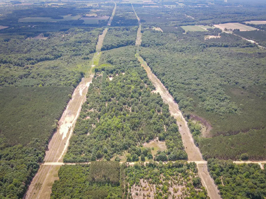 V/L W Adams Road, Pentwater, MI 49449 - #2