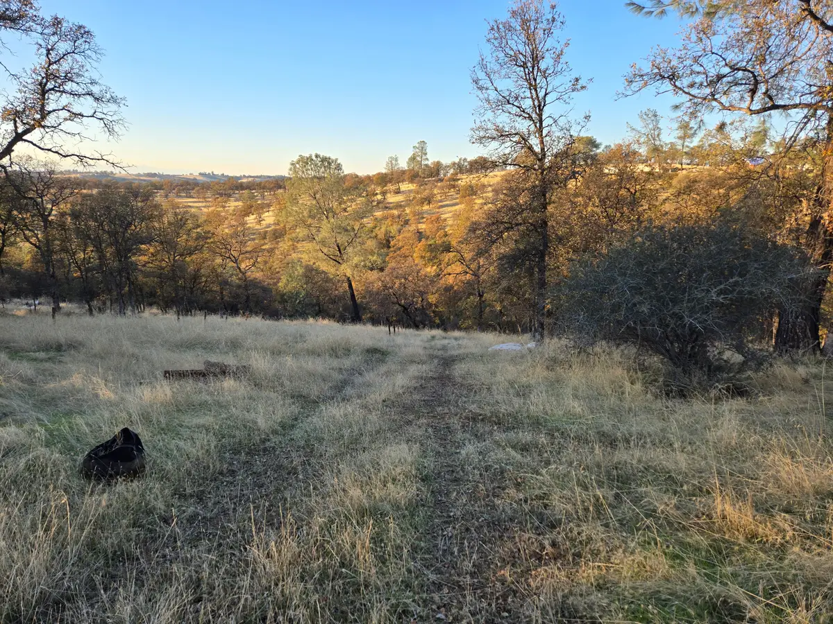 0 Avacado Road, Bangor, CA 95914 - Image #1