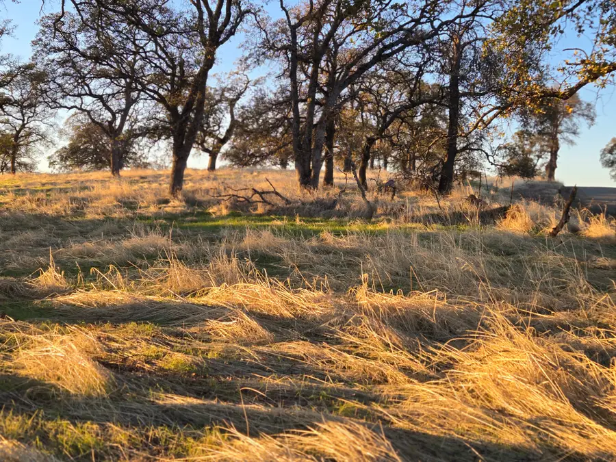 0 Avacado Road, Bangor, CA 95914 - Image #3