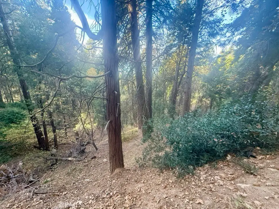 61 Lot - El Valle Road, Cedarpines Park, CA 92322 - #1
