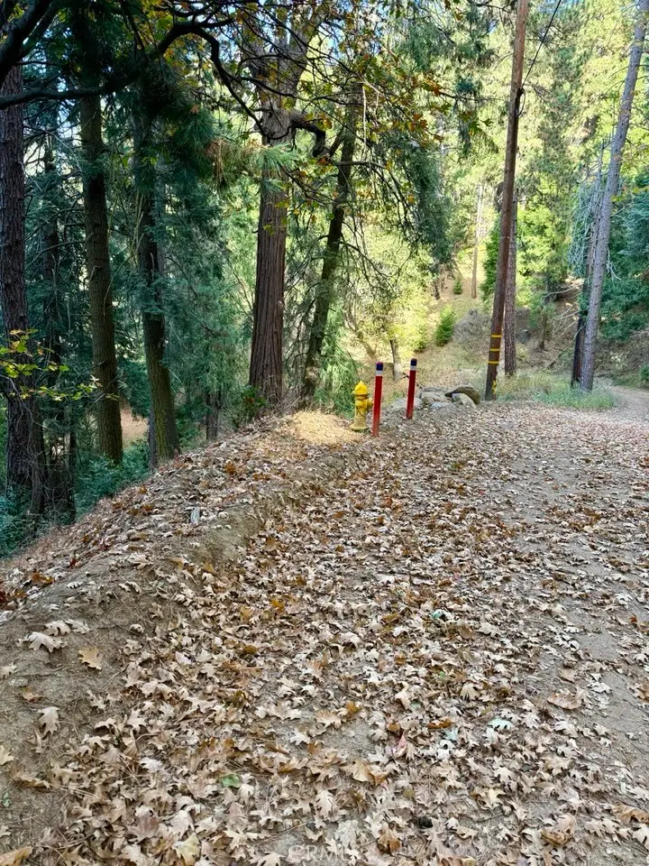 61 Lot - El Valle Road, Cedarpines Park, CA 92322 - #3