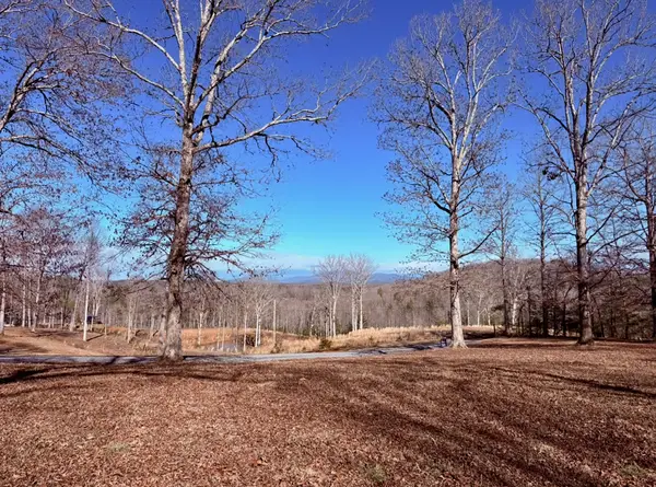 C4 Briar Woods Lane, Blue Ridge, GA 30513