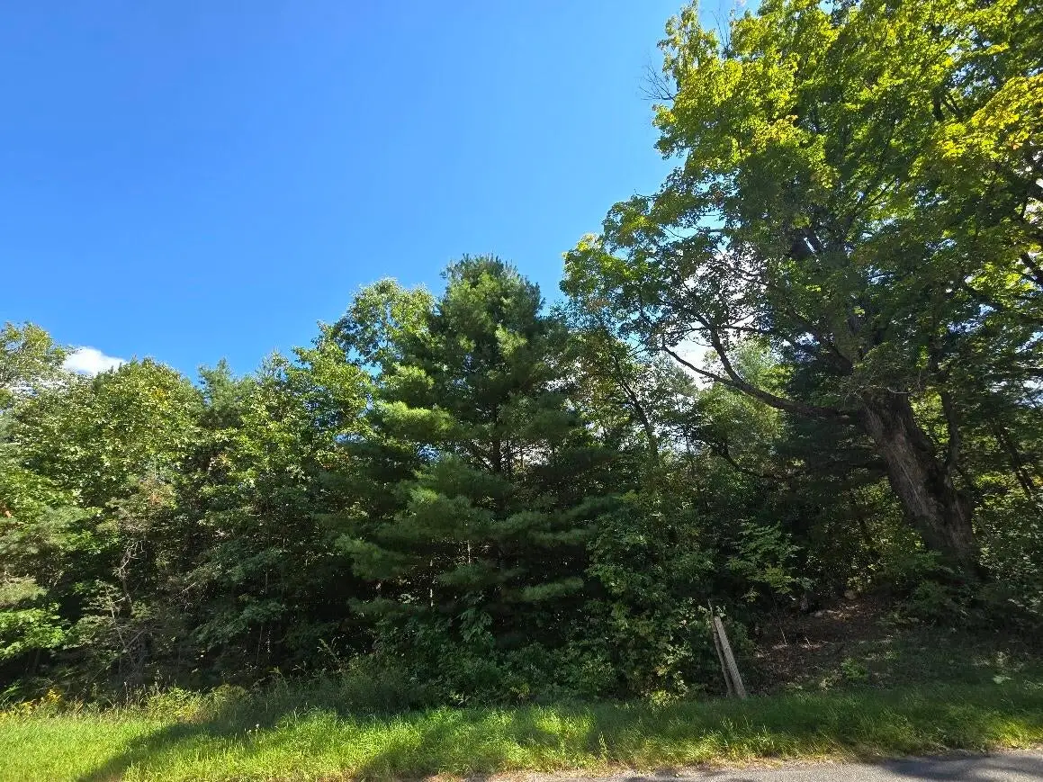 00 N Hawkins Road, Luther, MI 49656 - #1