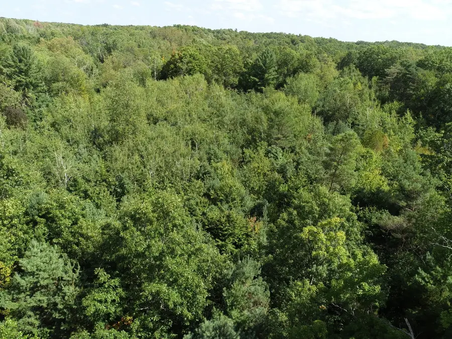 00 N Hawkins Road, Luther, MI 49656 - #2