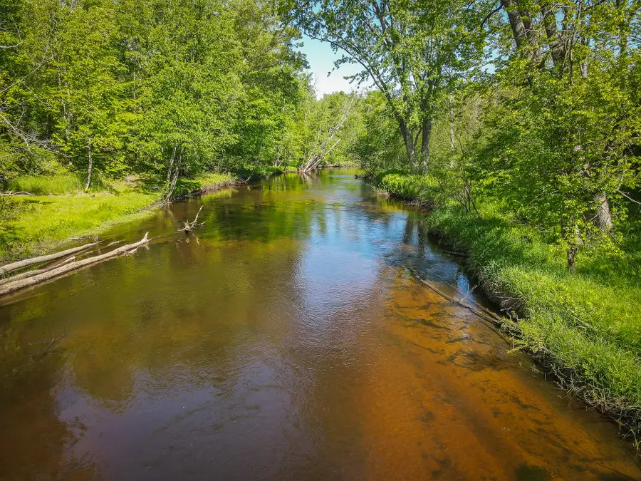 8804 Anne Drive, Walkerville, MI 49459 - #3