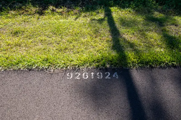 15-2782 Maikoiko St, Pahoa, HI 96778