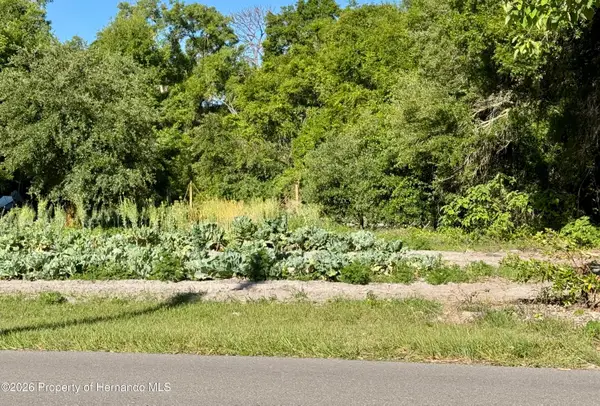 00 County Road 213, WILDWOOD, FL 34785