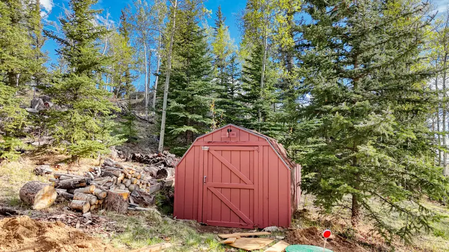 128 Brook Drive, Lake George, CO 80827 - #3