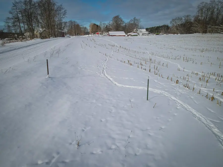 V/L W Johnson Road, Shelby, MI 49455 - Image #3