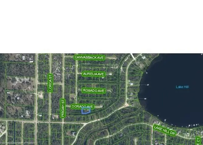 3348 Dorado Avenue, Lake Placid, FL 33852 - Image #3