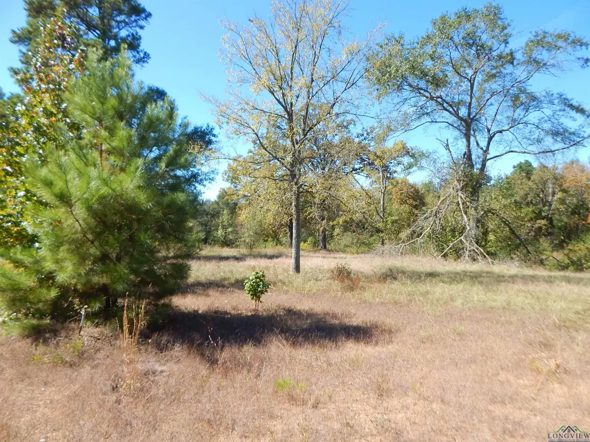TBD .5 ACRE HWY 155, Gilmer, TX 75644 - Image #1