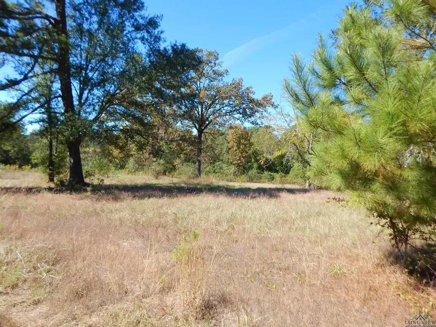 TBD .5 ACRE HWY 155, Gilmer, TX 75644 - Image #3