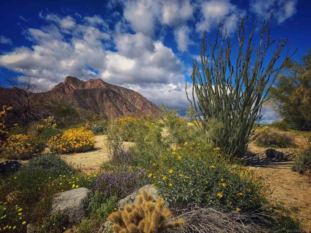 0 Palm Canyon Dr., Borrego Springs, CA 92004 - #1