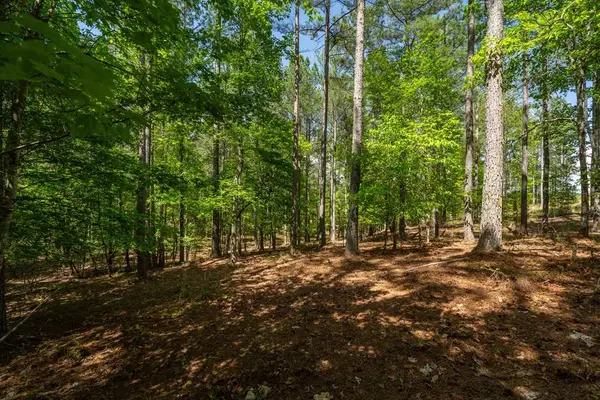 Lot 132 Sandy Lake Lane, Blairsville, GA 30512