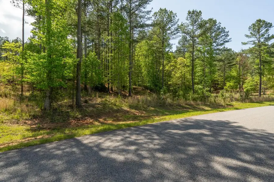 Lot 132 Sandy Lake Lane, Blairsville, GA 30512 - Image #2